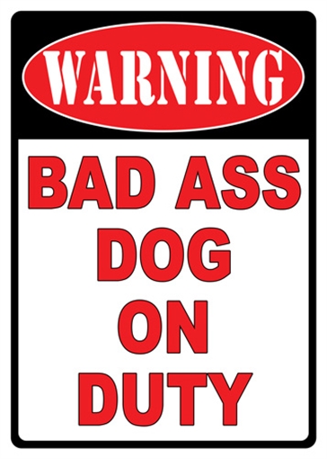 Picture of RIVER'S EDGE GIFTS SIGN 12"x17" "WARNING BAD A** DOG" 1526Z