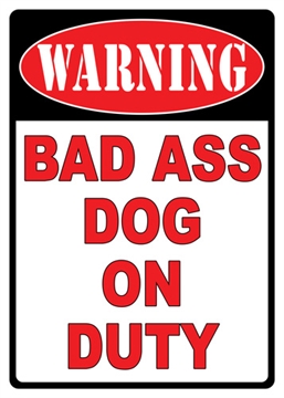 Picture of RIVER'S EDGE GIFTS SIGN 12"x17" "WARNING BAD A** DOG" 1526Z