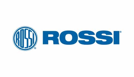 Picture of ROSSI R95 30-30 BL/SY 18" 953030181PLY