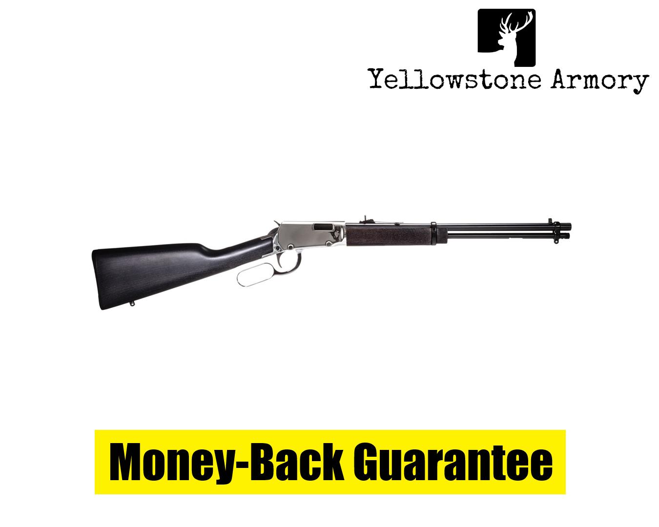 Rossi Rio Bravo Rifle 22 LR. 18 in. Nickel Hardwood 15 rd. RL22181WDNI-img-0