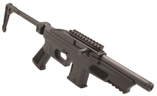 Picture of BrazTech|Rossi ROSSI RS22P 22LR 10R BRACE RS22P6BK-SMPB