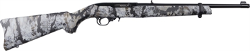Picture of RUGER 10/22 SKY 22LR 16B 10R DE 31182