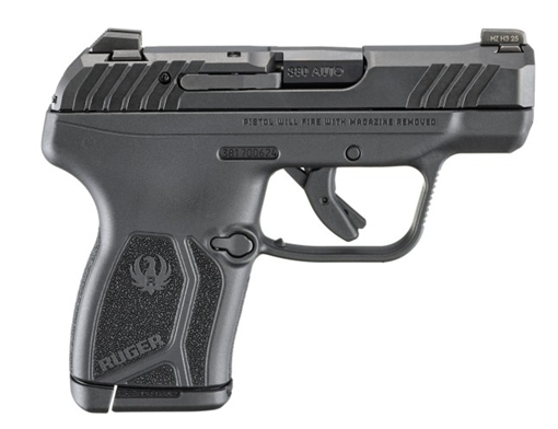 Picture of RUGER LCP MAX 380 PST BLK 10RD 13765 736676137657