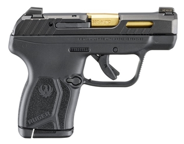 Picture of RUGER LCP MAX 380 PST GLD MS 10R 13766 736676137664