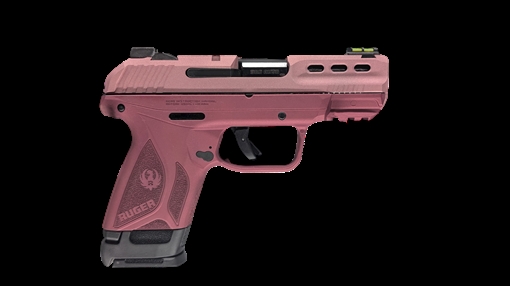 Picture of RUGER SECURITY 380ACP TWO TONE BLUSH PSTL 3.42" BBL 15+1RD BLK F.O. FRONT SIGHT 03839-2TB