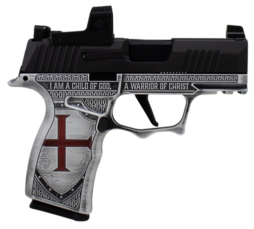 Picture of SHARK COAST CUSTOMS SHARK TEMPLAR 365X RD 12 300-154-0410-11