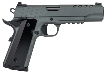 Picture of SDS Imports Tisas 1911 Nightstalker Handgun 10mm 8rd Magazines (2) 5" Barrel Grey with Black Grips and Night Sights 10100537