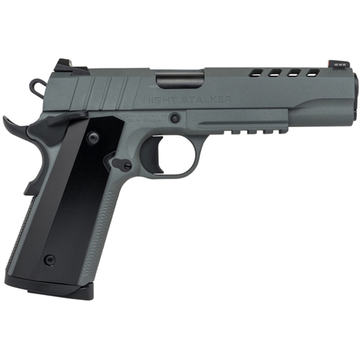 Picture of Tisas 1911 Night Stalker Full Size 9mm Auto 9+1 5" Steel Barrel, Ported/Serrated Steel Slide, Platinum Grey Cerakote Steel Frame w/Beavertail & Picatinny Rail, Ambidextrous 10100538