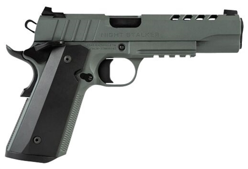 Picture of Tisas 1911 Night Stalker Full Size 45 ACP 8+1 5" Black Steel Ramped Barrel, Platinum Grey Cerakote Ported/Serrated Slide & Frame w/Picatinny Rail & Beavertail, Ambidextrous 10100512