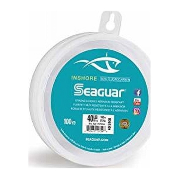 Picture of SEAGUAR IN SHORE 100 40LB 100YDS 40IS100