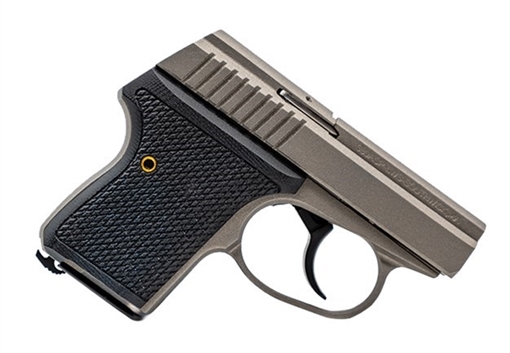 Picture of LW SEECAMP 380ACPT PSTL GUN METAL GRY 1-6RD 380GMGREYW LWS-380-GMGREYW