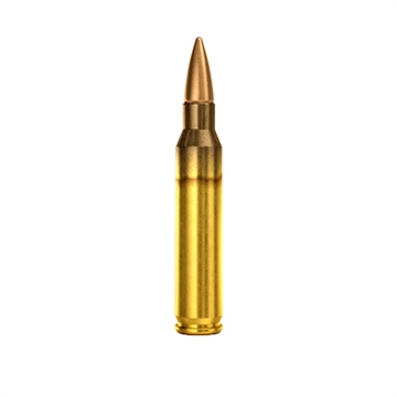 Picture of Sellier & Ballot M193 Rifle Ammunition 5.56mm 55gr FMJ 3300 fps 1000/ct SB556AC