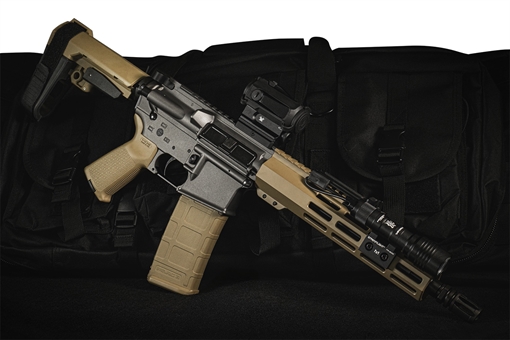 Picture of SHARK COAST SCC04427TWB-P    556 10.5 30+1 GRY/TAN 810188104427