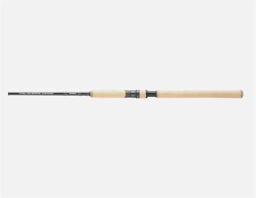 Picture of SHIMANO INSHORE 70 M SPN D TESIS70MD