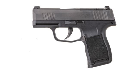 Picture of SIG SAUER P365 380ACP 3.1 BLK 10RD OFF DUTY W365-380-BSS