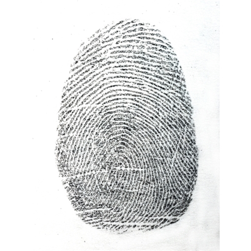 Picture of Sirchie Sirchie - DNA Free Silk Black, 1 oz. DNA101L -