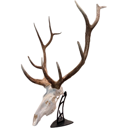 Picture of Skull Hooker Skull Hooker Big Table Hooker Black SKH-BTH-ASSY-BLK