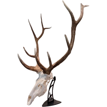 Picture of Skull Hooker Skull Hooker Big Table Hooker Black SKH-BTH-ASSY-BLK