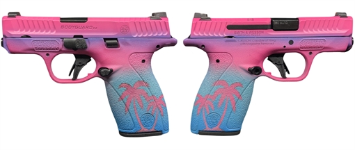 Picture of SMITH & WESSON BODYGUARD 2.0 NMS 380ACP 2.75" MIAMI 1-10RD 1-12RD TAYLOR CUSTOMS 13927-MIAMI