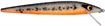 Picture of SMITHWICK RATTLN ROGUE 4.5" BREAM ARB1223