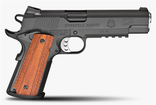 Picture of SPRINGFIELD 1911-A1 45ACP 5 FBI PROFESSIONAL LIGHT RAIL PC9111LR