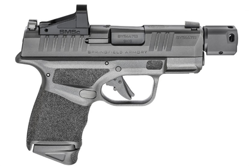 Picture of SPRINGFIELD ARMORY HELLCAT RDP SMSC 10 HC9389BTOSPSMSCLC