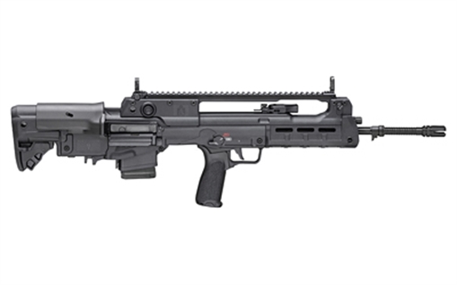 Picture of SPRINGFIELD ARMORY HELLION BP 5.56 20B 10 G25 HL920556BLCGU25