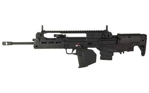 Picture of Springfield Armory HELLI BP 5.56 20B 10CA G25 HL920556BCA-P25