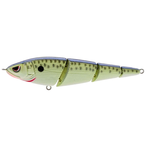 Picture of SPRO / GAMAKATSU SWIMMER 105 CELL MATE SSS105CMT