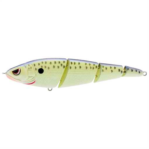 Picture of SPRO / GAMAKATSU SWIMMER 125 CELL MATE SSS125CMT