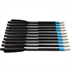 Picture of Steambow Steambow Light Target Arrows 10 pk. 636
