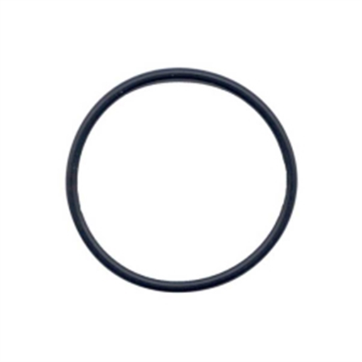 Picture of Streamlight PolyStinger Replacement O-Ring Tail Cap Assembly 700025
