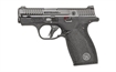 Picture of S&W BDYGRD 2.0 380ACP 2.75" 12RD NTS 13927