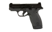 Picture of S&W BDYGRD 2.0 380ACP 2.75" 12RD TS 13926