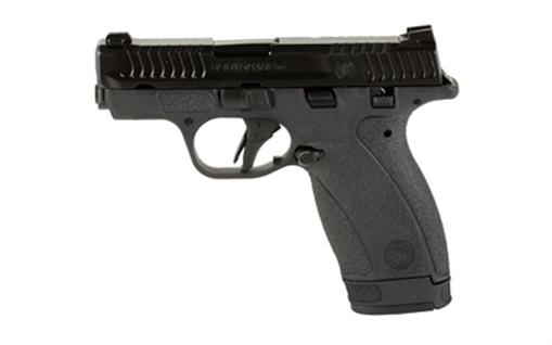 Picture of S&W BDYGRD 2.0 380ACP 2.75" 12RD TS 13926