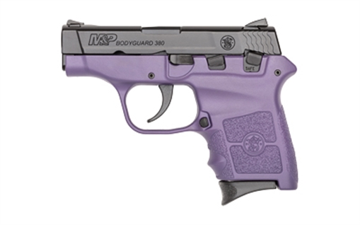 Picture of S&W BDYGRD 380ACP 6RD 2.75 NL PRP/BK 14019