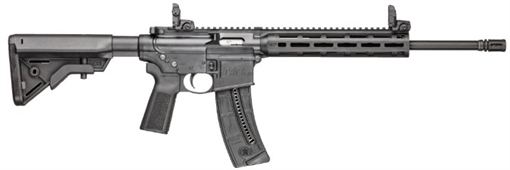 Picture of SW M&P15-22 SPORT 16.5 B5 10RD 14180-10 642461674149