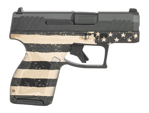 Picture of Taurus 1-GX4M931-EN4 GX4  Micro-Compact Frame 9mm Luger 11+1 3.06" Alloy Steel Serrated Slide Stainless Steel Frame