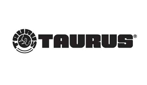 Picture of Taurus GX2 TORO Handgun 9mm Luger 13rd Magazine(1) 3.38?? Barrel Cyan Frame/Stainless Slide 1-GX2P939C