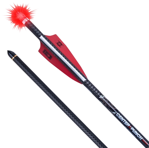 Picture of TenPoint TenPoint CenterPunch HPX Alpha Blaze Carbon Arrows 20 in. Alpha Blaze Lighted Nocks 3 pk. HEA-779.3 HEA7793