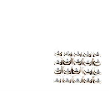 Picture of Thompson Center Maxi-Balls .50 cal Pre-Lubed 370 gr 20/ct 16007795