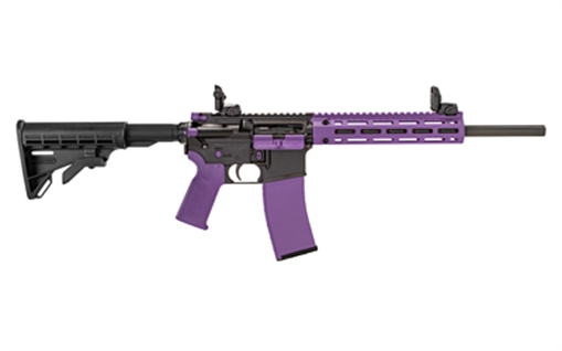 Picture of TIPPMANN M4-22 ACCENT 22LR 10RD PRP A101223