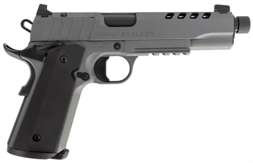 Picture of TISAS 1911 NIGHT STALKER SF HGA 10 AUTO 5IN THREADED BBL FS GREY ENHANCED RAIL SLIDE CUTS 723551445402