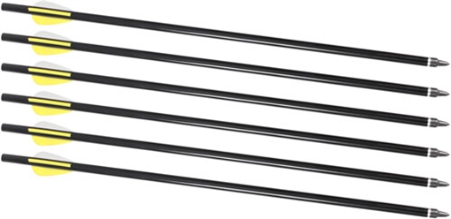 Picture of TRADITIONS CRACKSHOT FIREBOLT 2216 ARROWS 16 IN ALUM 6 PACK TIPS NOT INCLUDED( 6 PER CASE ) A2217
