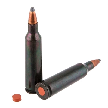 Picture of Traditions TRADITIONS RIFLE TRAINING CARTRIDGE 22-250 REM (2 CT) ATR250REM