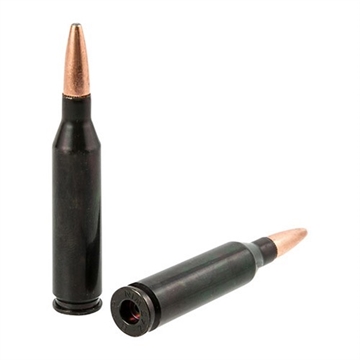 Picture of Traditions TRADITIONS RIFLE TRAINING CARTRIDGE 243 WINCHESTER (2 CT) ATR243WIN