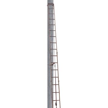 Picture of Trophy Treestands Hangtime Ladder TS303