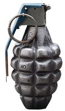 Picture of Tru-Spec Dummy Grenade - Pineapple 5812000