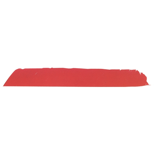 Picture of Trueflight Trueflight Full Length Feathers Yellow LW 100 pk. 0 3004