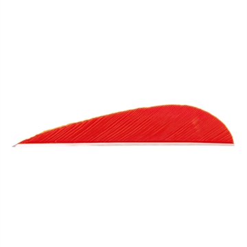 Picture of Trueflight Trueflight Parabolic Feathers Red 3 in. LW 100 pk. 0 1203